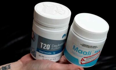 Impennata delle prescrizioni di cannabis terapeutica in Australia