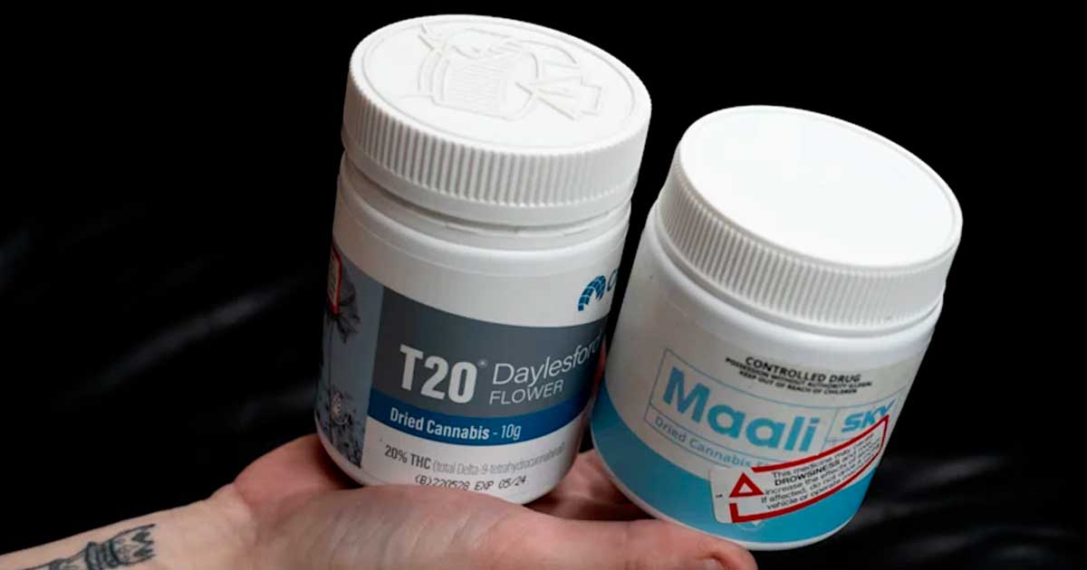 Impennata delle prescrizioni di cannabis terapeutica in Australia