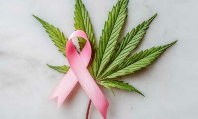 Cancro al seno e cannabis