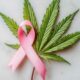 Cancro al seno e cannabis