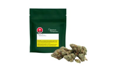 Canopy Growth e le sue varietà di cannabis terapeutica nel Regno Unito