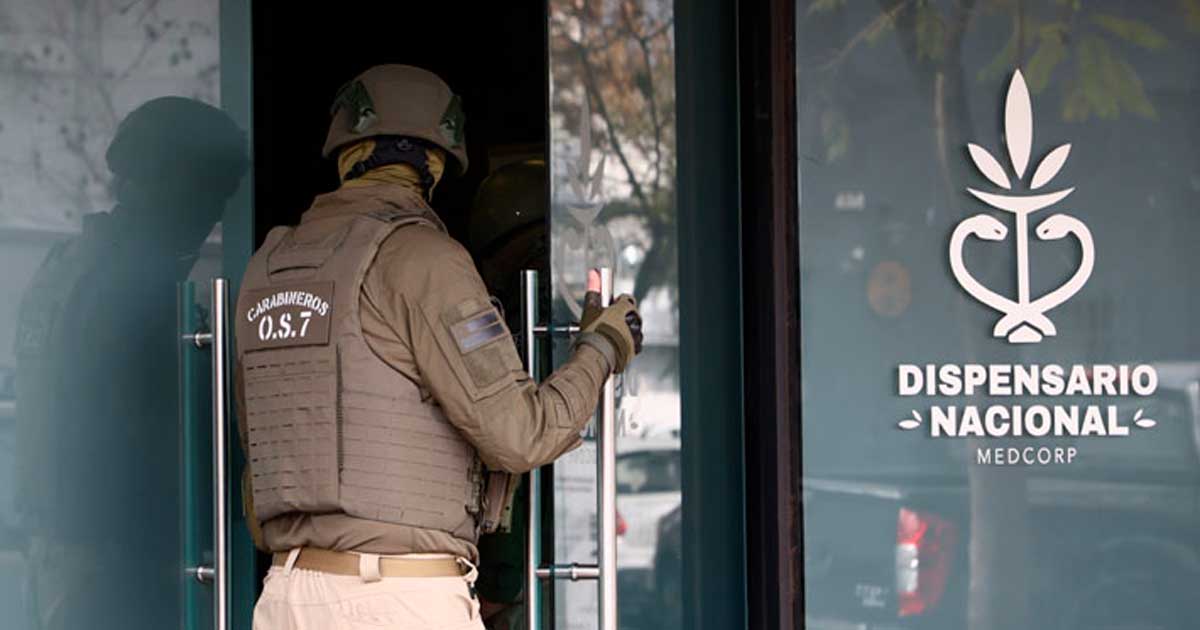Irruzione in un dispensario di cannabis in Cile