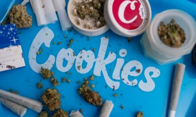 Cookies condannato al pagamento di una multa