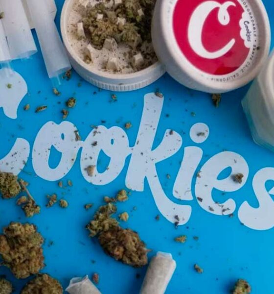 Cookies condannato al pagamento di una multa