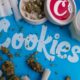 Cookies condannato al pagamento di una multa