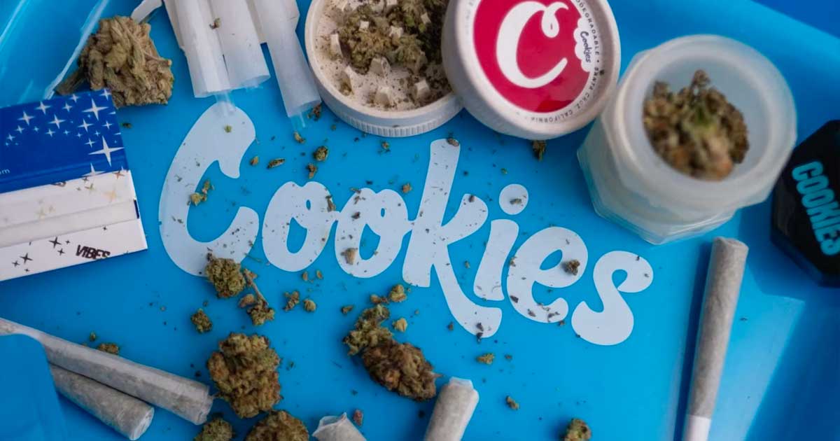 Cookies condannato al pagamento di una multa