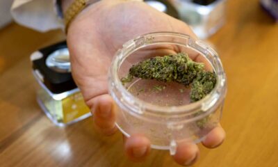 Distribuzione di cannabis nelle farmacie in Svizzera