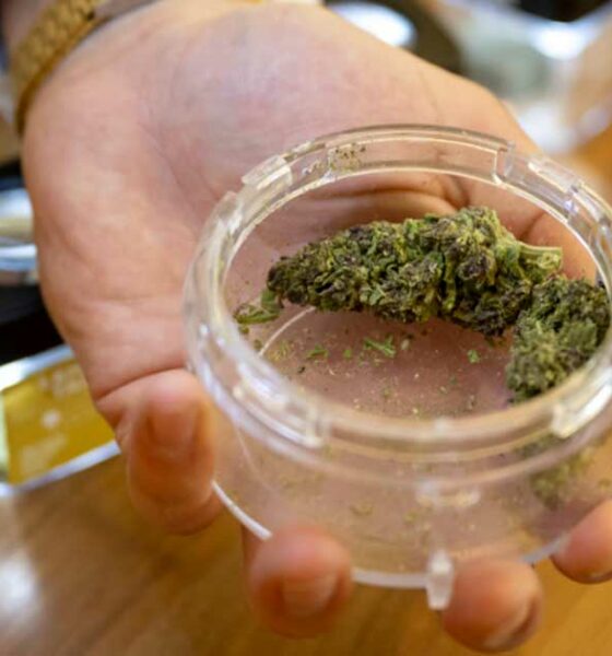 Distribuzione di cannabis nelle farmacie in Svizzera