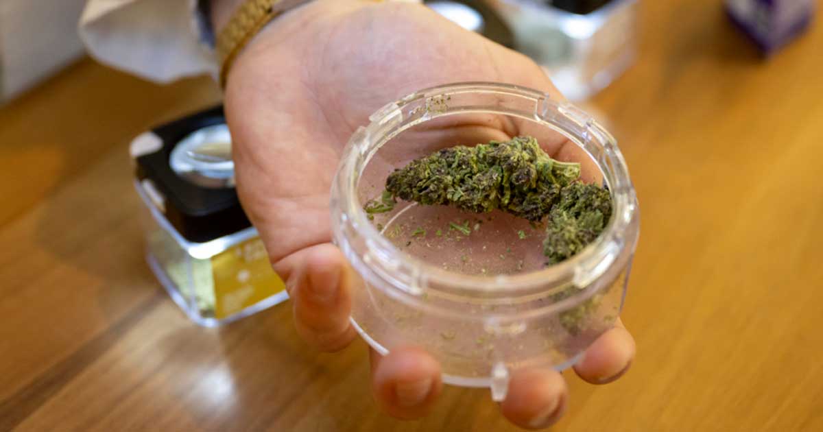 Distribuzione di cannabis nelle farmacie in Svizzera