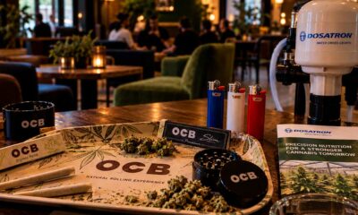 Aziende francesi del settore della cannabis all'estero