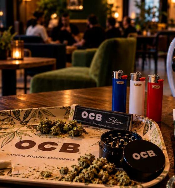 Aziende francesi del settore della cannabis all'estero