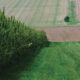 Esportazione di canapa industriale dalla Francia