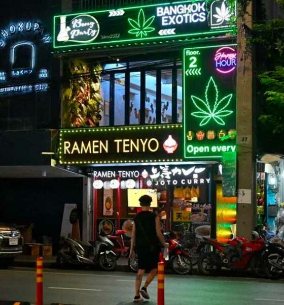 La Thailandia punta sulla cannabis terapeutica