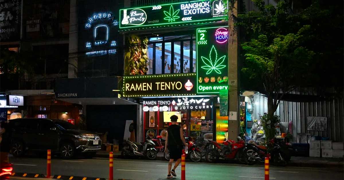 La Thailandia punta sulla cannabis terapeutica