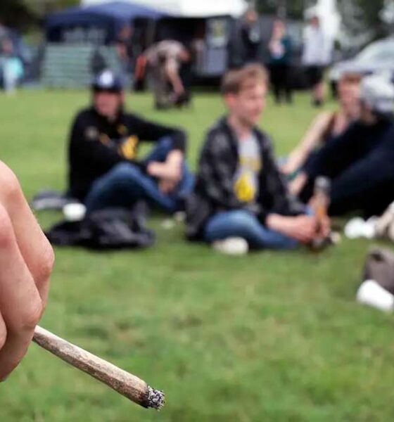 Consumo di cannabis tra gli adolescenti negli Stati Uniti
