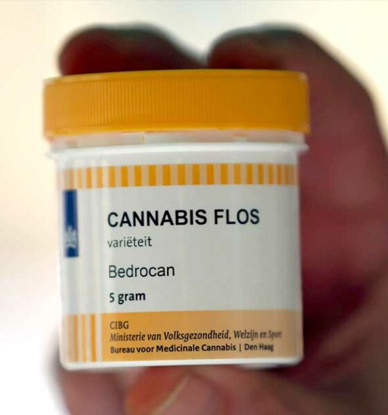 Fallimento di Bedrocan