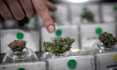 Cannabis Club in Cile