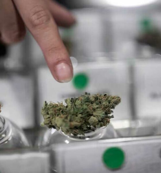 Cannabis Club in Cile