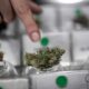 Cannabis Club in Cile