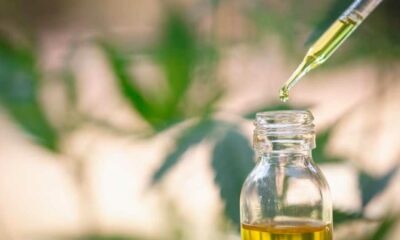 EFSA e CBD sintetico