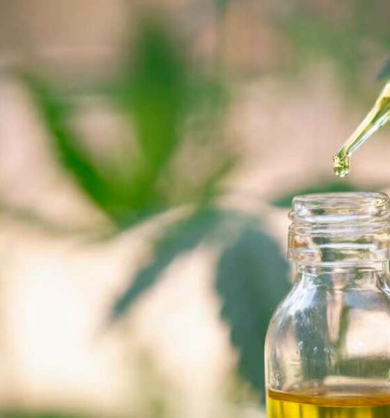 EFSA e CBD sintetico
