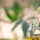 EFSA e CBD sintetico