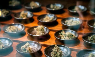 Aziende che operano nel settore della cannabis terapeutica negli Stati Uniti