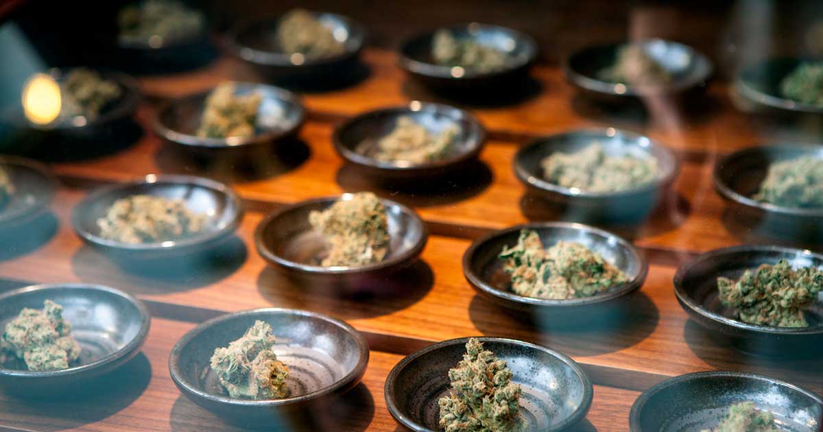 Aziende che operano nel settore della cannabis terapeutica negli Stati Uniti
