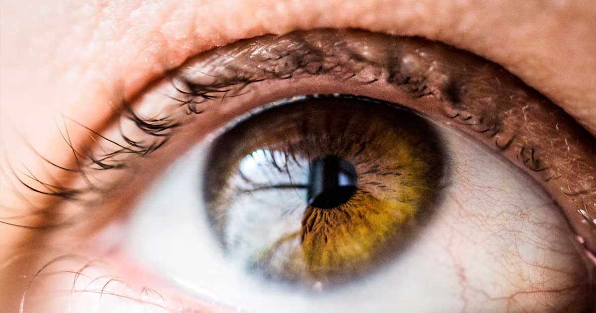 Il CBD e il trattamento dell'infiammazione oculare