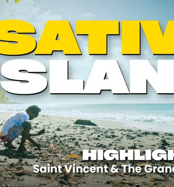 Le varietà Sativa di Saint Vincent e Grenadine