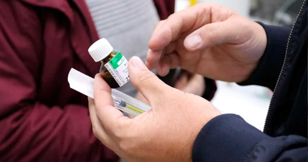 Cannabis terapeutica in Ucraina contro il cancro
